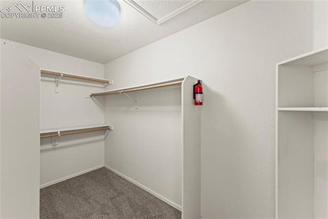 Tiny photo for 660 Calico Court, Woodland Park, CO 80863 (MLS # 6752317)