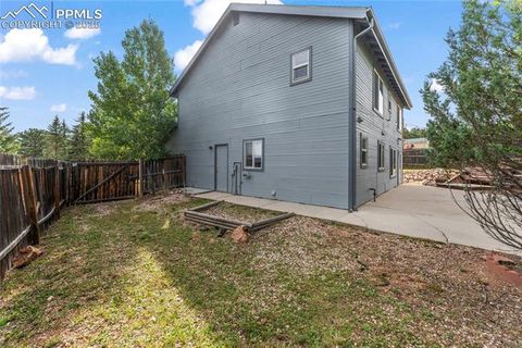 Tiny photo for 660 Calico Court, Woodland Park, CO 80863 (MLS # 6752317)