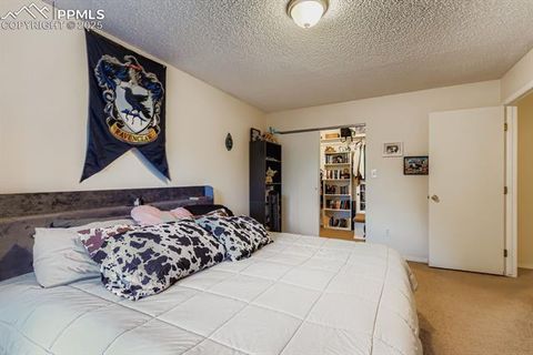 Tiny photo for 4386 Hawks Lookout Lane, Colorado Springs, CO 80916 (MLS # 4530944)