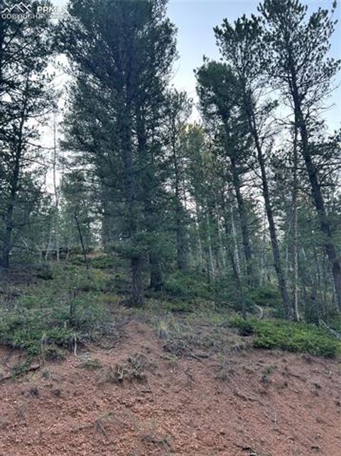 83 Sodalite Road Divide CO 80814