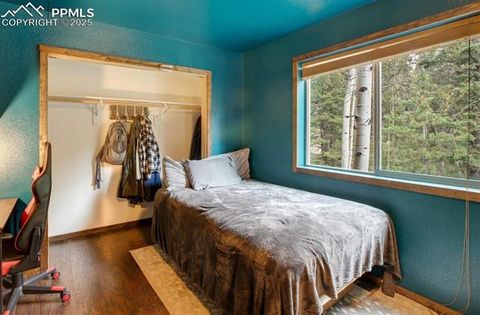 Tiny photo for 2741 N Mountain Estates Road, Florissant, CO 80816 (MLS # 5104294)