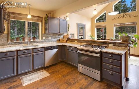 Tiny photo for 2741 N Mountain Estates Road, Florissant, CO 80816 (MLS # 5104294)