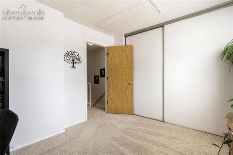 Tiny photo for 3351 Queen Anne Way, Colorado Springs, CO 80917 (MLS # 2202068)