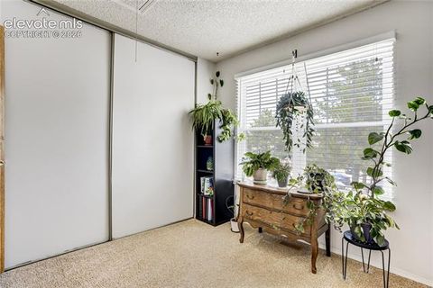 Tiny photo for 3351 Queen Anne Way, Colorado Springs, CO 80917 (MLS # 2202068)