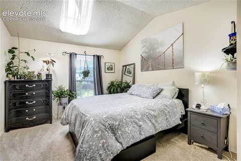 Tiny photo for 3351 Queen Anne Way, Colorado Springs, CO 80917 (MLS # 2202068)