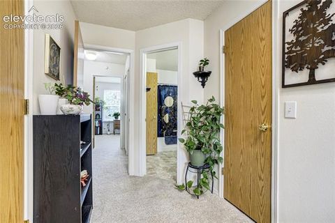 Tiny photo for 3351 Queen Anne Way, Colorado Springs, CO 80917 (MLS # 2202068)