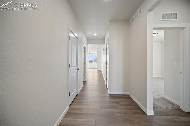 9311 Kitten Tail Court