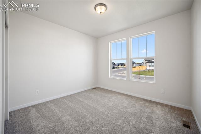 9311 Kitten Tail Court