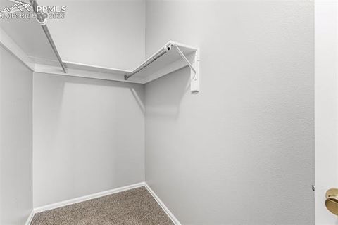 Tiny photo for 824 London Green Way, Colorado Springs, CO 80906 (MLS # 2613377)