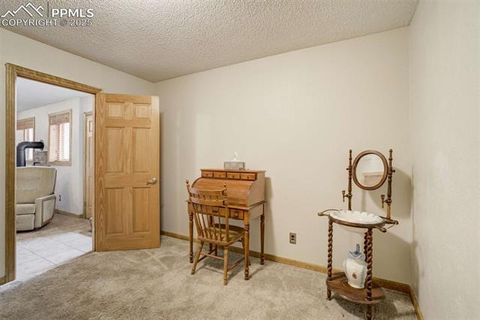 Tiny photo for 340 Ponderosa Court, Woodland Park, CO 80863 (MLS # 3868560)