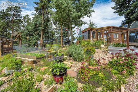 Tiny photo for 340 Ponderosa Court, Woodland Park, CO 80863 (MLS # 3868560)