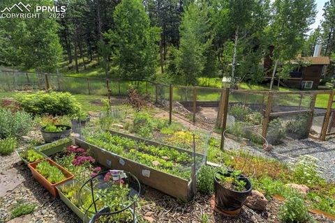 Tiny photo for 340 Ponderosa Court, Woodland Park, CO 80863 (MLS # 3868560)