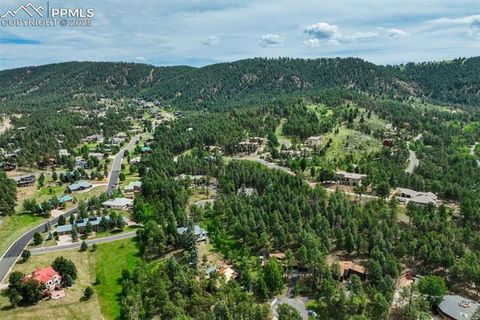 Tiny photo for 340 Ponderosa Court, Woodland Park, CO 80863 (MLS # 3868560)