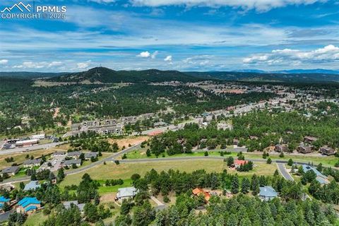 Tiny photo for 340 Ponderosa Court, Woodland Park, CO 80863 (MLS # 3868560)