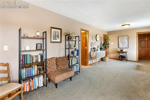 Tiny photo for 901 Wilson Drive, Florissant, CO 80816 (MLS # 8161037)