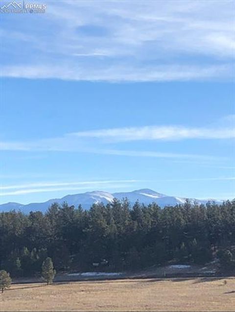 Tiny photo for 901 Wilson Drive, Florissant, CO 80816 (MLS # 8161037)