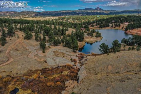 Tiny photo for 901 Wilson Drive, Florissant, CO 80816 (MLS # 8161037)