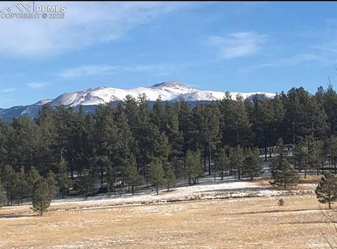 Tiny photo for 901 Wilson Drive, Florissant, CO 80816 (MLS # 8161037)