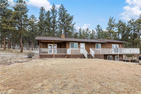 Photo of 901 Wilson Drive, Florissant, CO 80816 (MLS # 8161037)