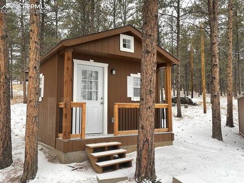 Tiny photo for 901 Wilson Drive, Florissant, CO 80816 (MLS # 8161037)