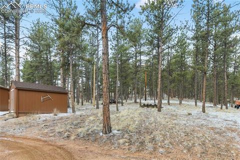 Tiny photo for 901 Wilson Drive, Florissant, CO 80816 (MLS # 8161037)