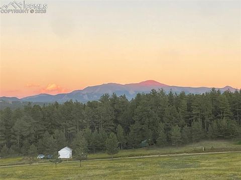 Tiny photo for 901 Wilson Drive, Florissant, CO 80816 (MLS # 8161037)