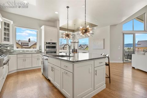 Tiny photo for 13609 Kitty Joe Court, Colorado Springs, CO 80921 (MLS # 7012044)