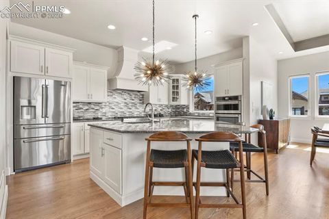 Tiny photo for 13609 Kitty Joe Court, Colorado Springs, CO 80921 (MLS # 7012044)