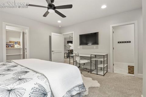 Tiny photo for 13609 Kitty Joe Court, Colorado Springs, CO 80921 (MLS # 7012044)