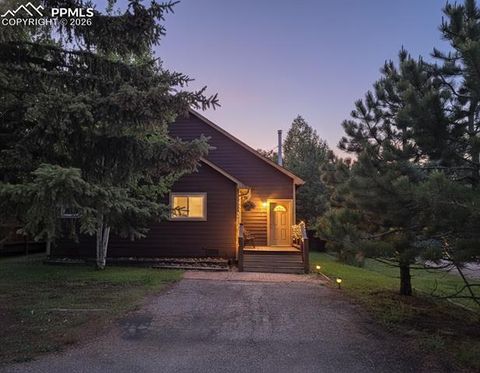 Tiny photo for 215 S Park Street, Woodland Park, CO 80863 (MLS # 5183196)