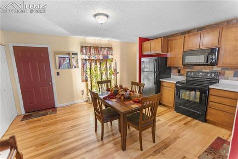 Tiny photo for 215 S Park Street, Woodland Park, CO 80863 (MLS # 5183196)