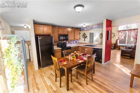 Tiny photo for 215 S Park Street, Woodland Park, CO 80863 (MLS # 5183196)
