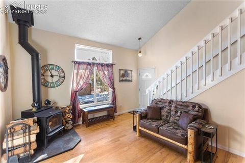 Tiny photo for 215 S Park Street, Woodland Park, CO 80863 (MLS # 5183196)