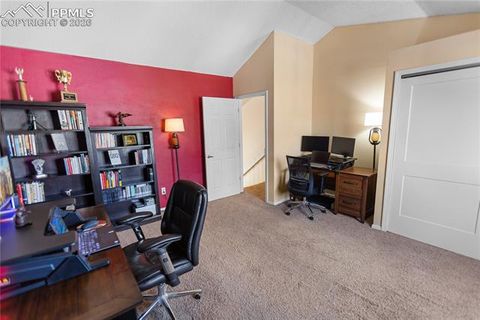 Tiny photo for 215 S Park Street, Woodland Park, CO 80863 (MLS # 5183196)