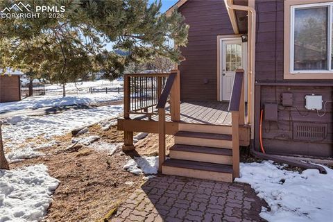 Tiny photo for 215 S Park Street, Woodland Park, CO 80863 (MLS # 5183196)