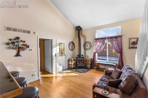 Tiny photo for 215 S Park Street, Woodland Park, CO 80863 (MLS # 5183196)