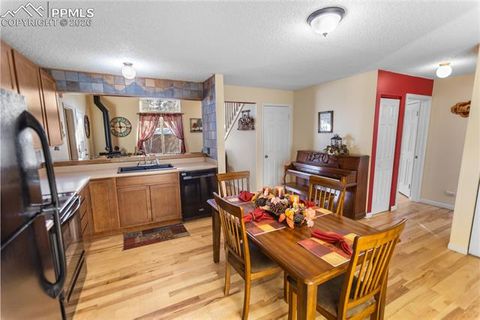 Tiny photo for 215 S Park Street, Woodland Park, CO 80863 (MLS # 5183196)