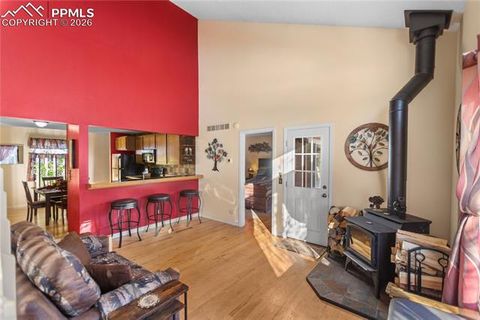 Tiny photo for 215 S Park Street, Woodland Park, CO 80863 (MLS # 5183196)