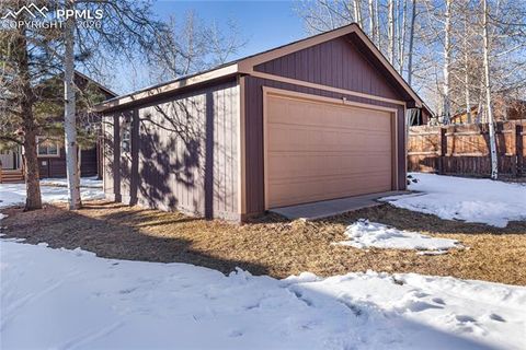 Tiny photo for 215 S Park Street, Woodland Park, CO 80863 (MLS # 5183196)