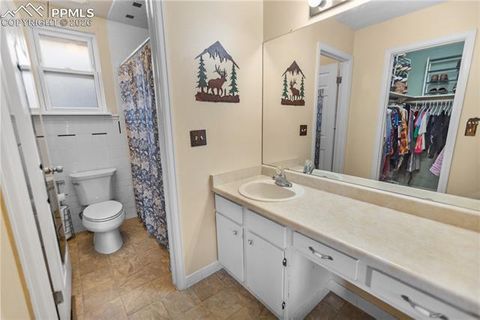 Tiny photo for 215 S Park Street, Woodland Park, CO 80863 (MLS # 5183196)