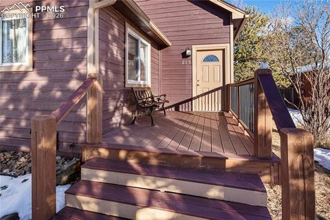 Tiny photo for 215 S Park Street, Woodland Park, CO 80863 (MLS # 5183196)