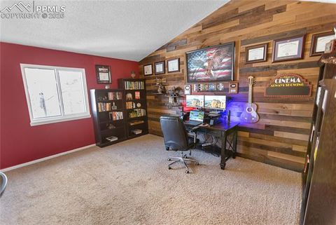 Tiny photo for 215 S Park Street, Woodland Park, CO 80863 (MLS # 5183196)