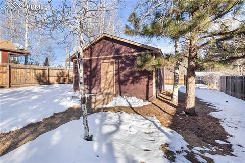 Tiny photo for 215 S Park Street, Woodland Park, CO 80863 (MLS # 5183196)
