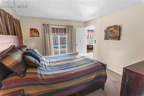 Tiny photo for 215 S Park Street, Woodland Park, CO 80863 (MLS # 5183196)