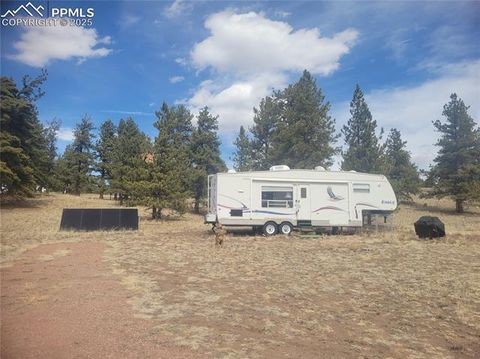 2450 Antelope Lane Guffey CO 80820