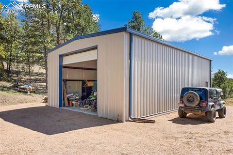 Tiny photo for 76 Crystal Peak Road, Florissant, CO 80816 (MLS # 3195031)