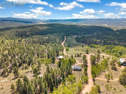 Tiny photo for 76 Crystal Peak Road, Florissant, CO 80816 (MLS # 3195031)