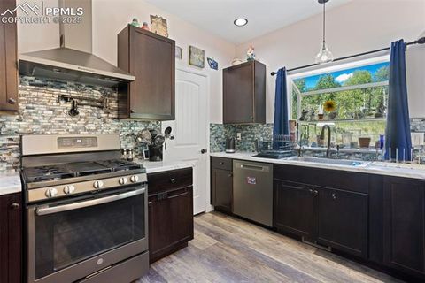 Tiny photo for 76 Crystal Peak Road, Florissant, CO 80816 (MLS # 3195031)