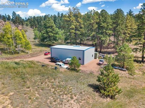 Tiny photo for 76 Crystal Peak Road, Florissant, CO 80816 (MLS # 3195031)