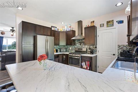 Tiny photo for 76 Crystal Peak Road, Florissant, CO 80816 (MLS # 3195031)